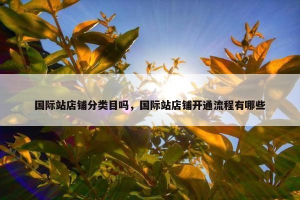 国际站店铺分类目吗，国际站店铺开通流程有哪些