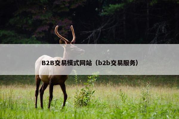 B2B交易模式网站（b2b交易服务）