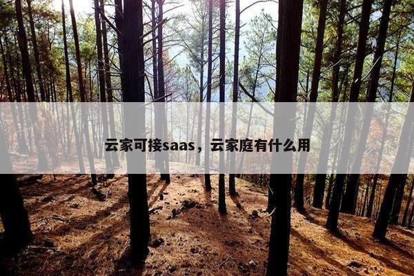 云家可接saas，云家庭有什么用