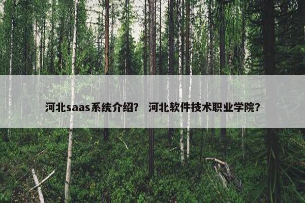 河北saas系统介绍？ 河北软件技术职业学院？