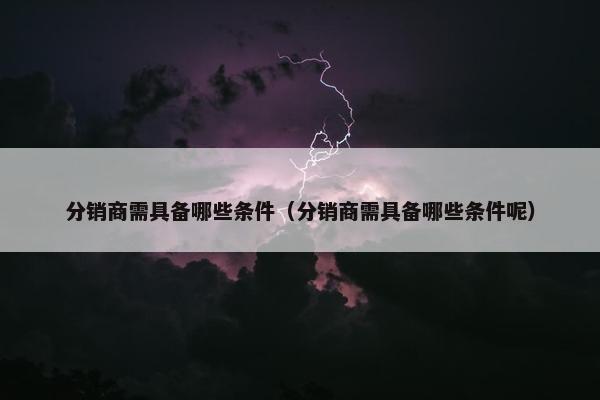 分销商需具备哪些条件（分销商需具备哪些条件呢）