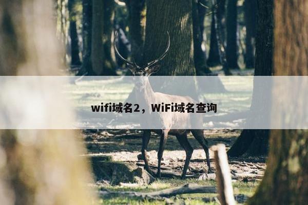 wifi域名2，WiFi域名查询