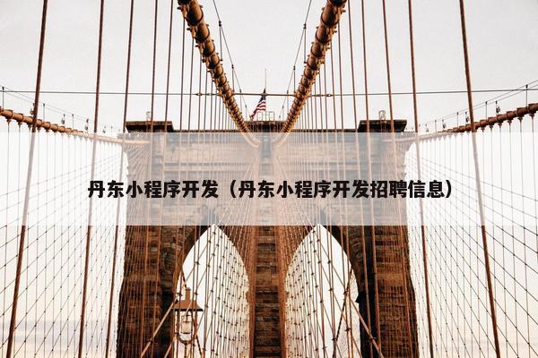 丹东小程序开发（丹东小程序开发招聘信息）