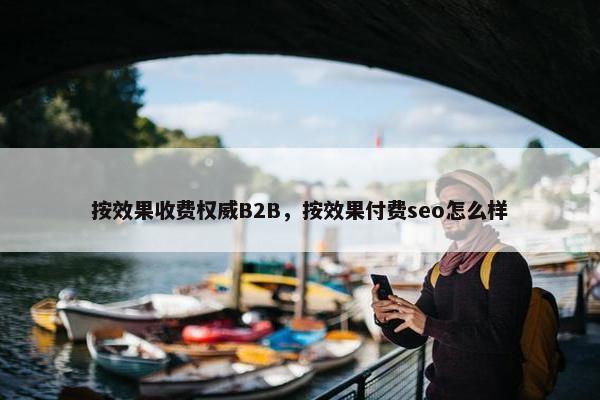 按效果收费权威B2B，按效果付费seo怎么样