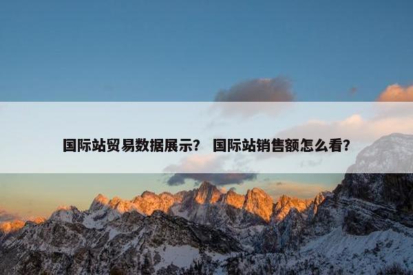 国际站贸易数据展示？ 国际站销售额怎么看？