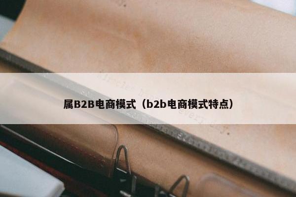 属B2B电商模式（b2b电商模式特点）
