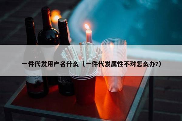 一件代发用户名什么（一件代发属性不对怎么办?）