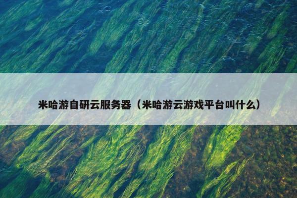 米哈游自研云服务器（米哈游云游戏平台叫什么）
