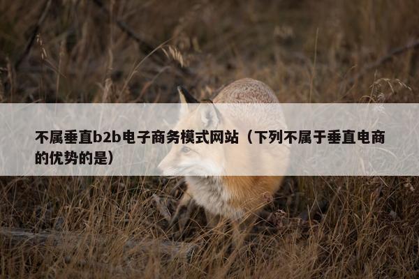 不属垂直b2b电子商务模式网站（下列不属于垂直电商的优势的是）