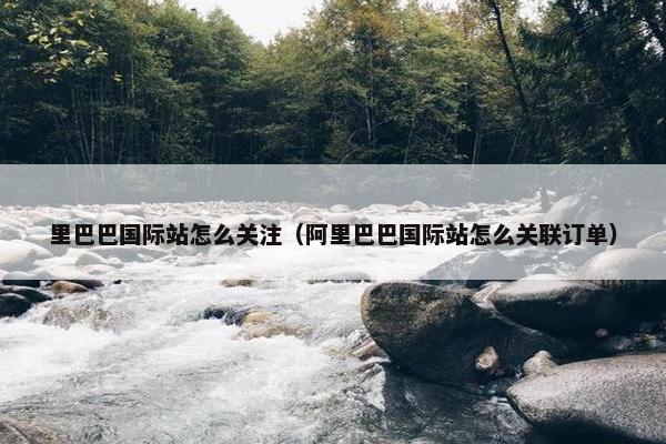 里巴巴国际站怎么关注（阿里巴巴国际站怎么关联订单）