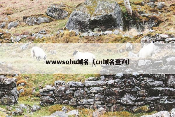 wwwsohu域名（cn域名查询）