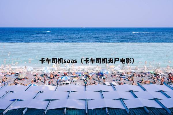 卡车司机saas（卡车司机丧尸电影）