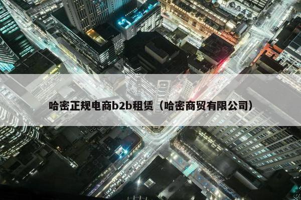 哈密正规电商b2b租赁（哈密商贸有限公司）