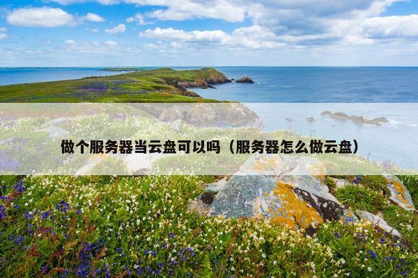 做个服务器当云盘可以吗（服务器怎么做云盘）
