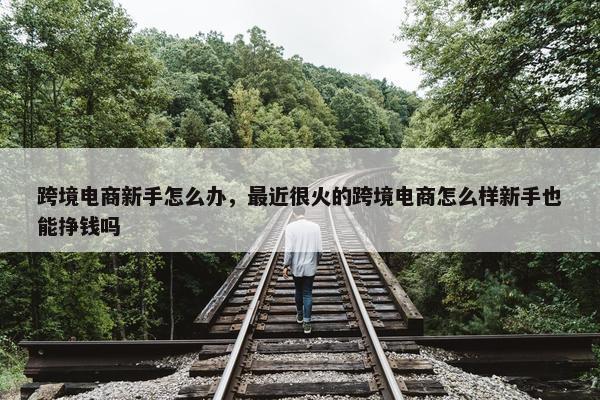 跨境电商新手怎么办，最近很火的跨境电商怎么样新手也能挣钱吗
