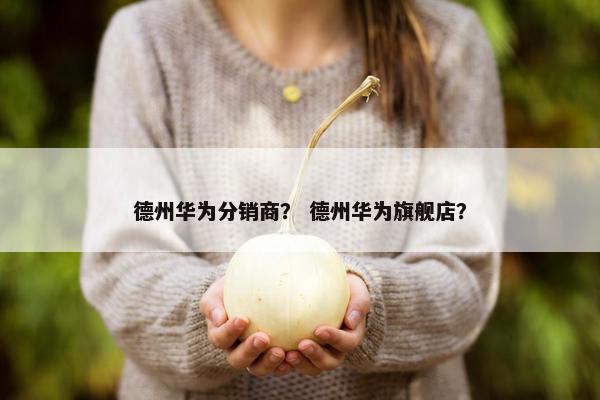 德州华为分销商？ 德州华为旗舰店？