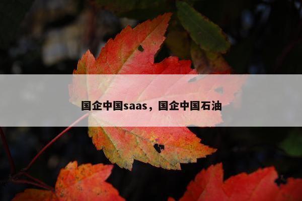 国企中国saas，国企中国石油