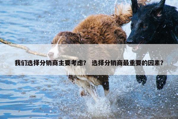 我们选择分销商主要考虑？ 选择分销商最重要的因素？