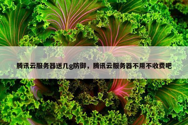 腾讯云服务器送几g防御，腾讯云服务器不用不收费吧