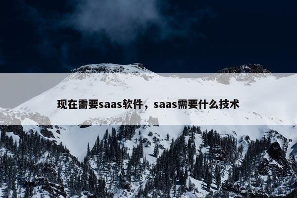 现在需要saas软件，saas需要什么技术