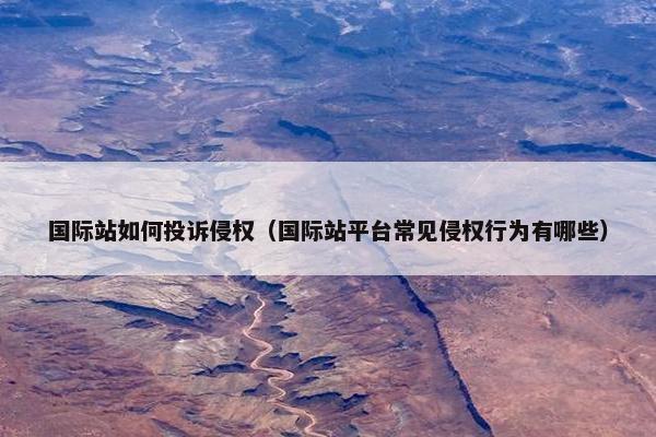 国际站如何投诉侵权（国际站平台常见侵权行为有哪些）
