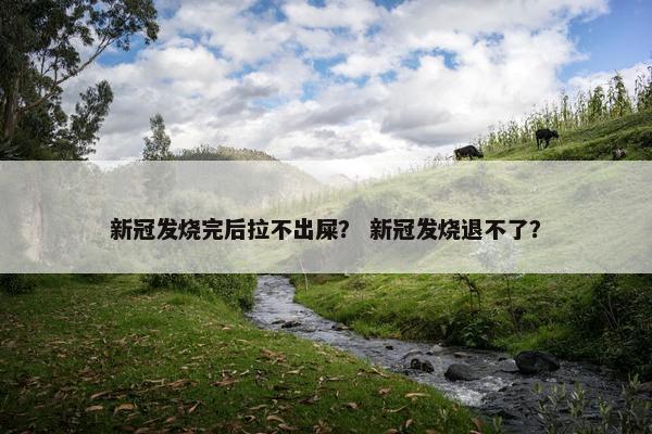 新冠发烧完后拉不出屎？ 新冠发烧退不了？