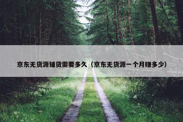 京东无货源铺货需要多久（京东无货源一个月赚多少）