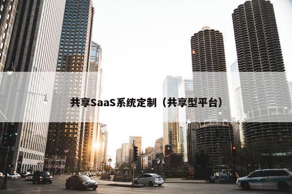 共享SaaS系统定制（共享型平台）