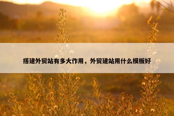 搭建外贸站有多大作用，外贸建站用什么模板好