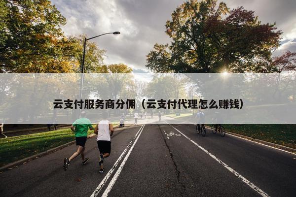 云支付服务商分佣（云支付代理怎么赚钱）