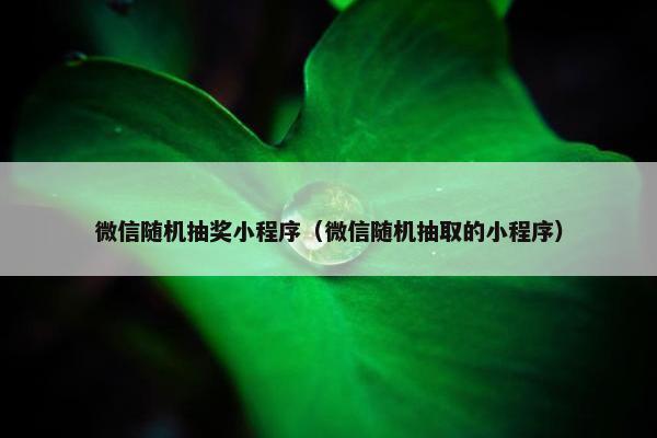 微信随机抽奖小程序（微信随机抽取的小程序）