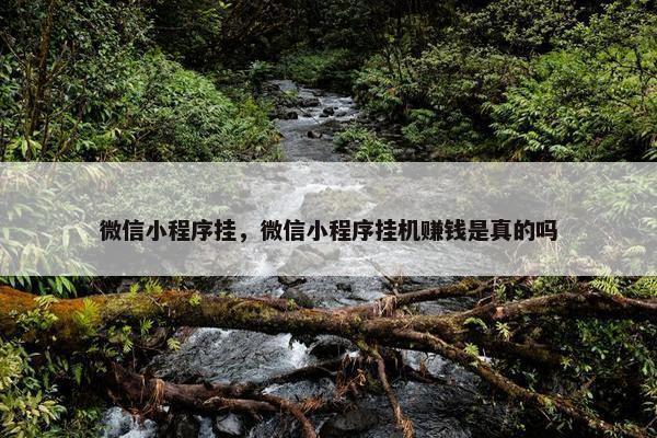 微信小程序挂，微信小程序挂机赚钱是真的吗
