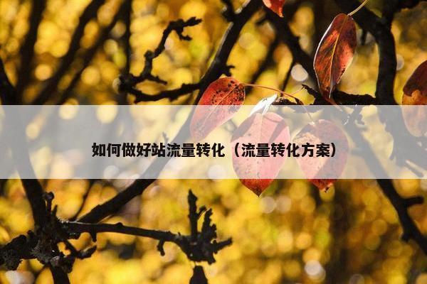 如何做好站流量转化（流量转化方案）