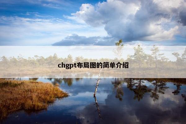 chgpt布局图的简单介绍