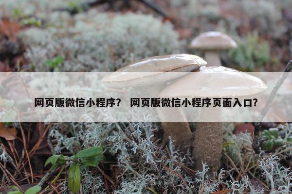 网页版微信小程序？ 网页版微信小程序页面入口？