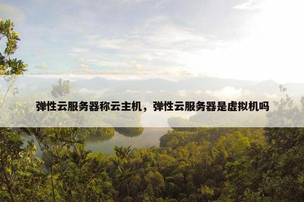 弹性云服务器称云主机，弹性云服务器是虚拟机吗