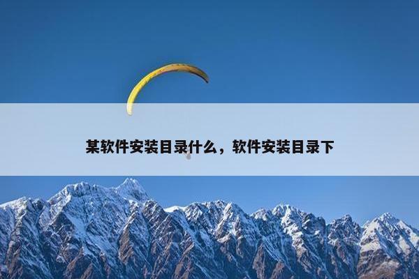 某软件安装目录什么，软件安装目录下