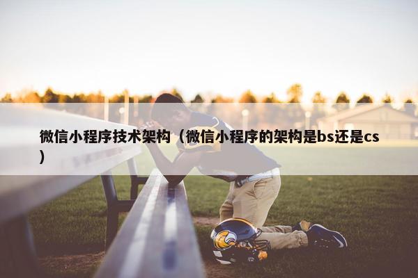 微信小程序技术架构（微信小程序的架构是bs还是cs）