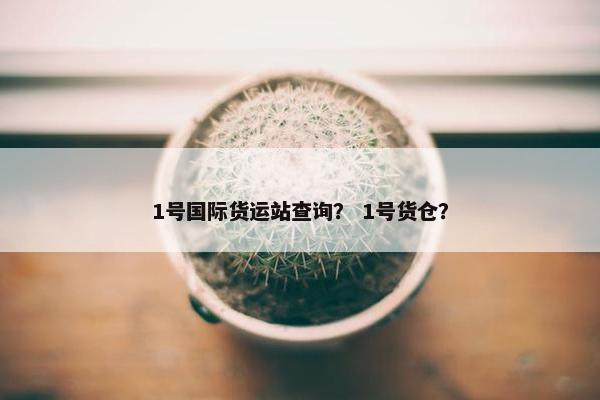1号国际货运站查询？ 1号货仓？