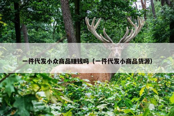 一件代发小众商品赚钱吗（一件代发小商品货源）
