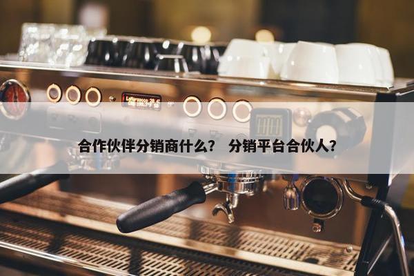 合作伙伴分销商什么？ 分销平台合伙人？