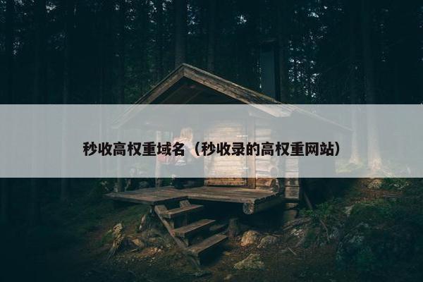 秒收高权重域名（秒收录的高权重网站）