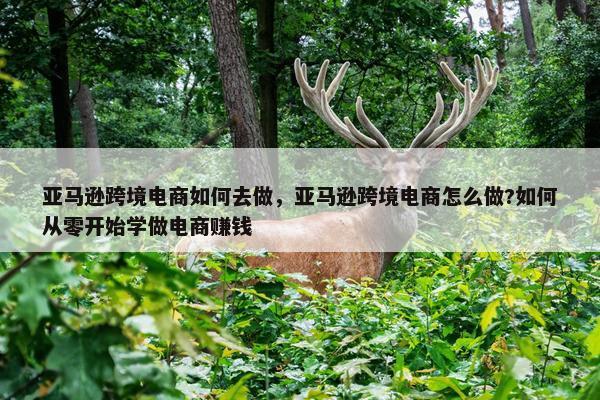 亚马逊跨境电商如何去做，亚马逊跨境电商怎么做?如何从零开始学做电商赚钱