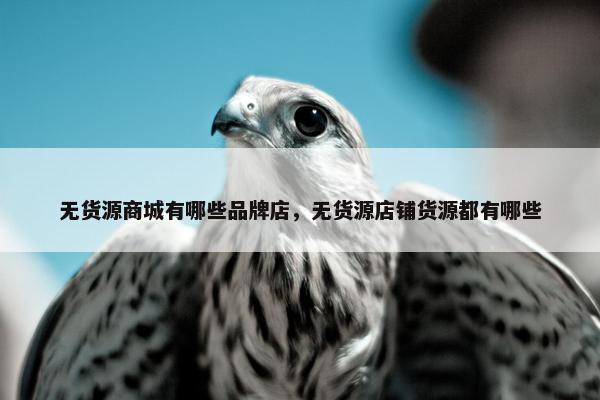 无货源商城有哪些品牌店，无货源店铺货源都有哪些