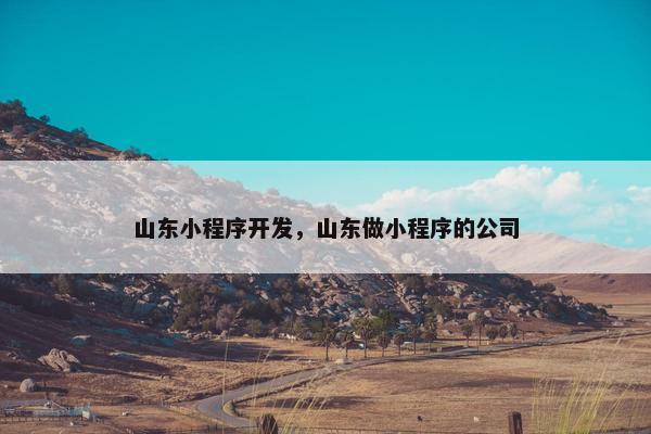 山东小程序开发，山东做小程序的公司