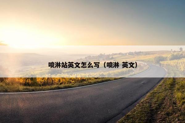 喷淋站英文怎么写（喷淋 英文）