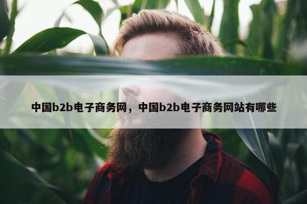 中国b2b电子商务网，中国b2b电子商务网站有哪些