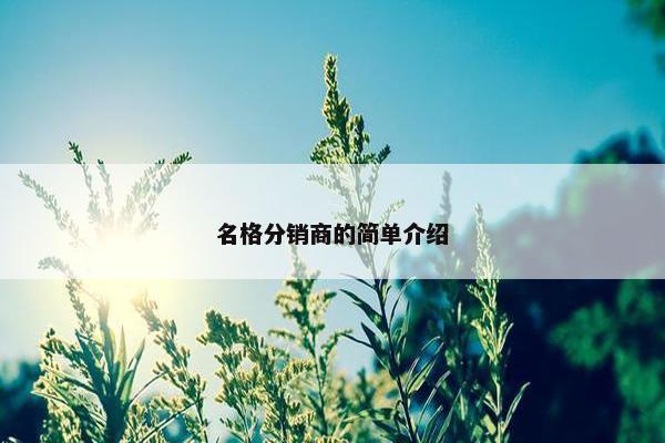 名格分销商的简单介绍