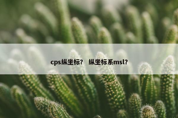 cps纵坐标？ 纵坐标系msl？