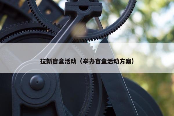 拉新盲盒活动（举办盲盒活动方案）